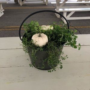 Meet your Posher, Regina